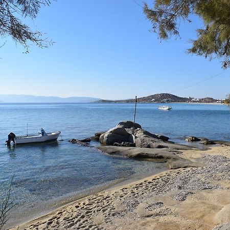 Naxian Breeze Apartment Agia Anna  Exterior photo